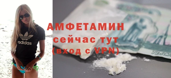 винт Вяземский