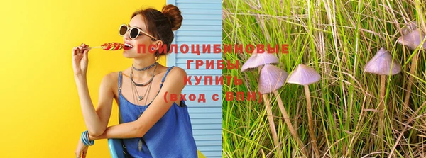 ешки Вязьма